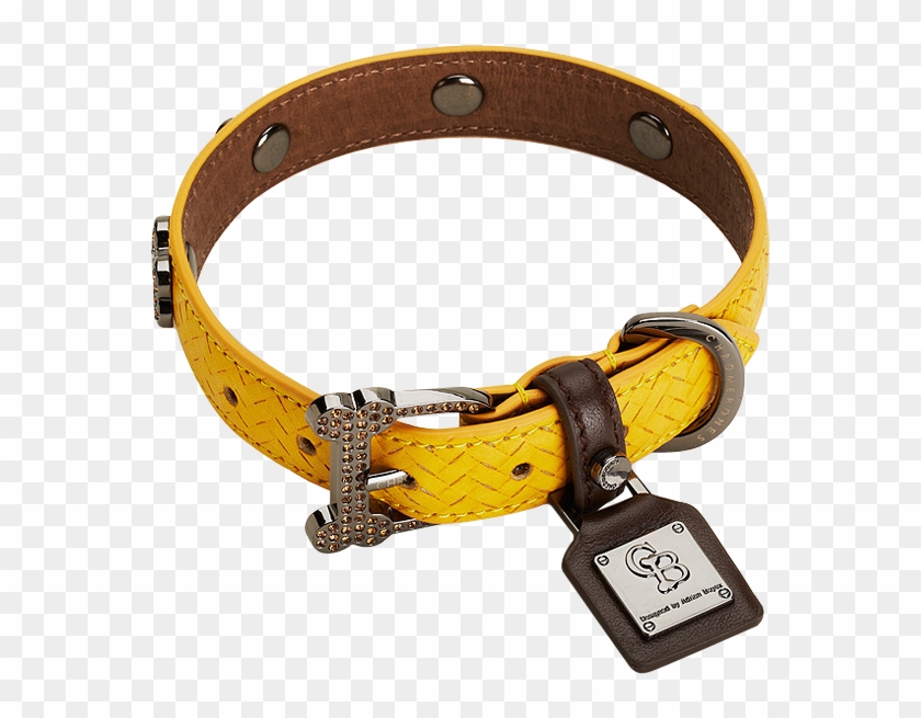 Dog Collar Png - Dog Collar Png #1610247