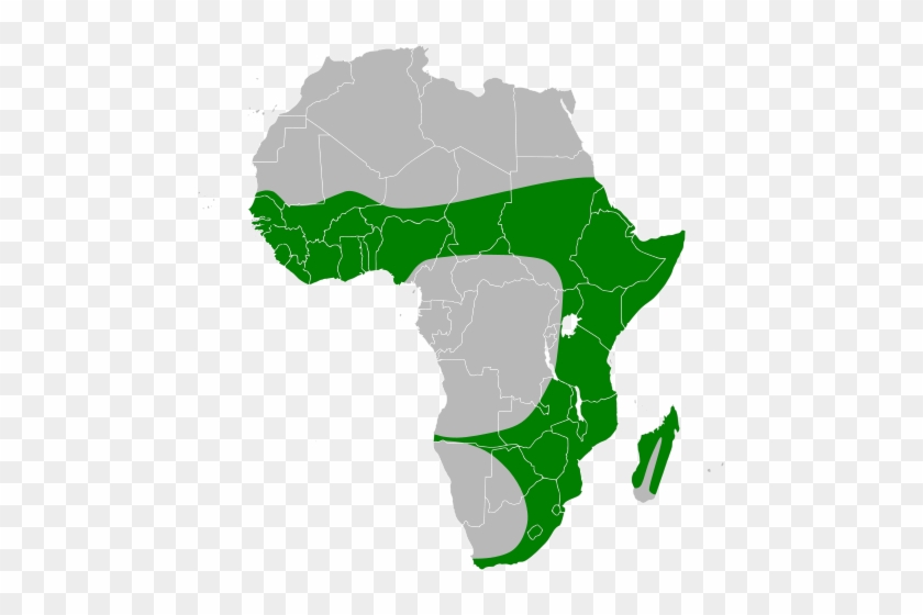 Black Heron Map) Range Map - Africa Map Green Png #1610512