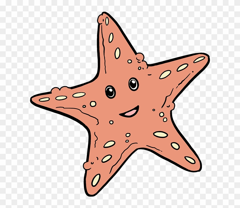 680 X 678 4 - Starfish Drawing Easy #1610834