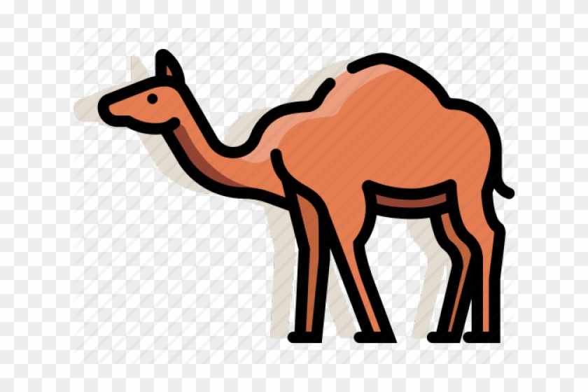Camel Clipart Mammal - Camel #1610947