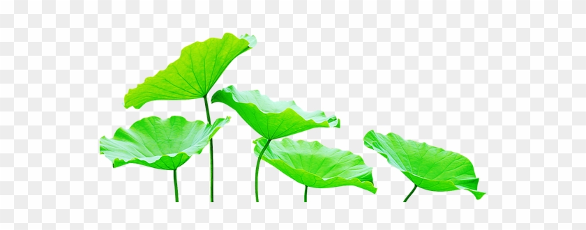 The Universe Responds To The Vibrations Of Your Love - Illustration #1611032