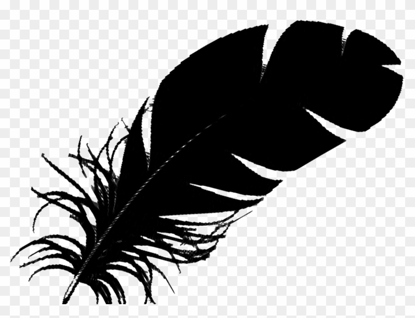 1550 X 1118 8 - Single Black Feather #1611533
