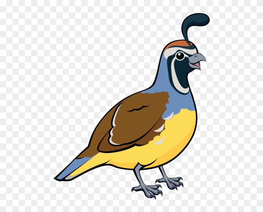 Quail - Quail Clipart #1611698