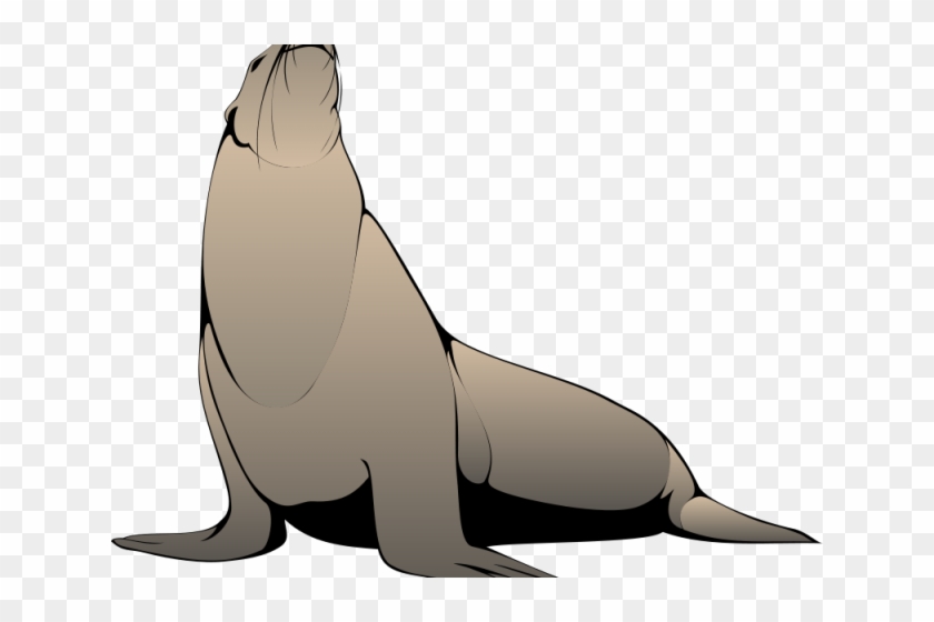 Seal Clipart Realistic - Sea Lion Transparent #1611714