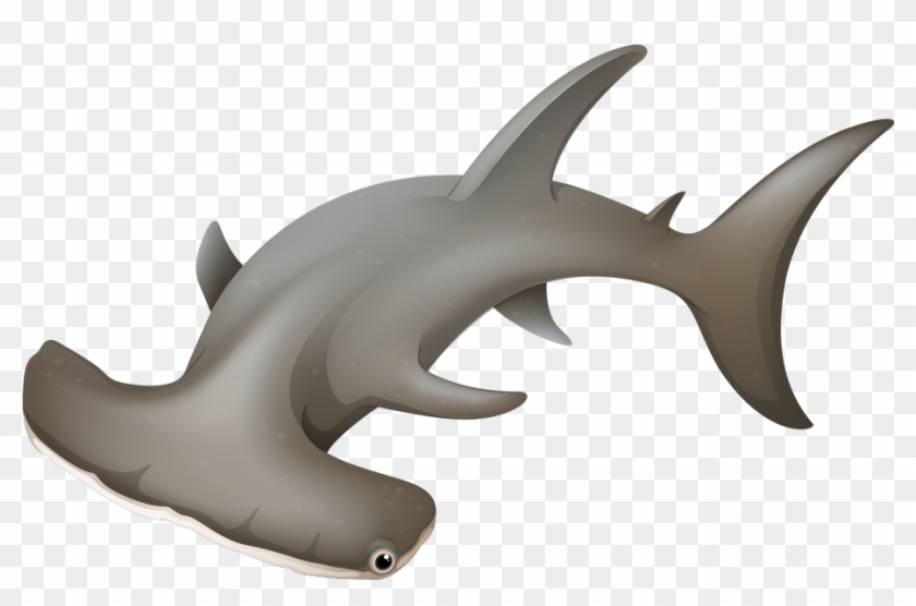 Picture Stock Shark Clip Art Transprent Png - Hammerhead Sharkclipart #1611771