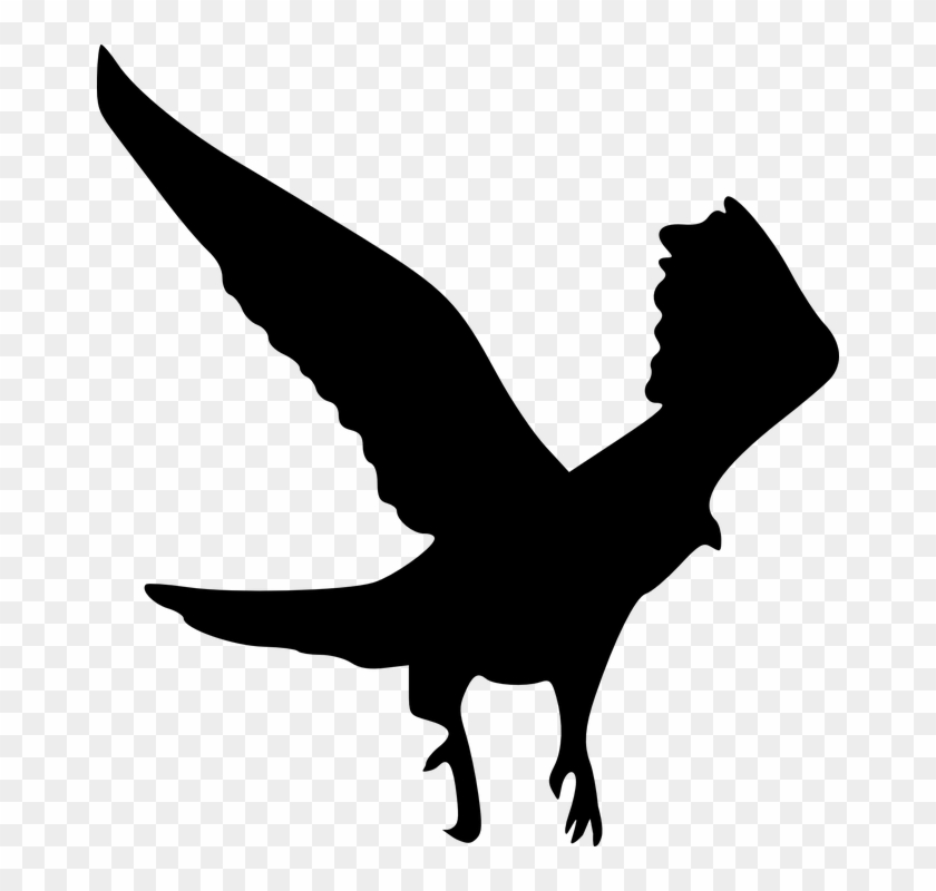 Bird Of Prey Clipart Shaheen - Silhouette Of Flutter Of Birds Wings #1612012