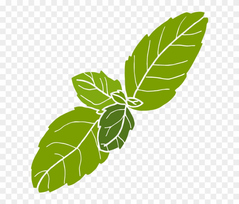 Basil Leaves Color Comp 2 No Outlines-01 - Illustration #1612019