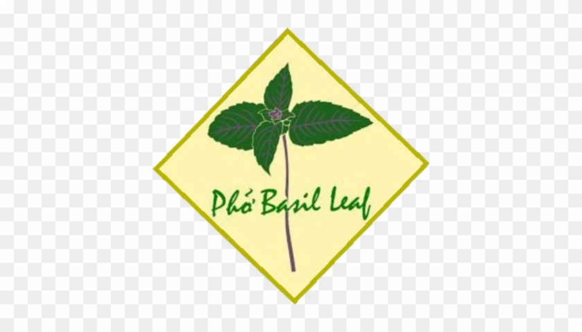 Pho Basil Leaf - Conmix #1612021