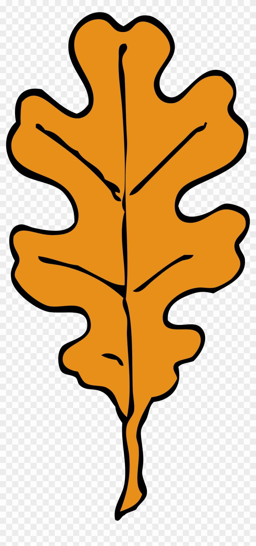 Oak Leaf Clipart - Oak Tree Leaves Cartoon #1612048