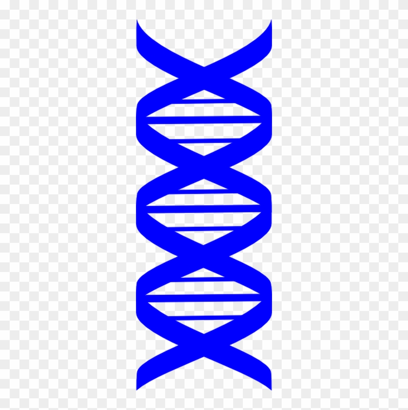 Base10 Concierge - Blue Dna Symbol Transparent #1612196