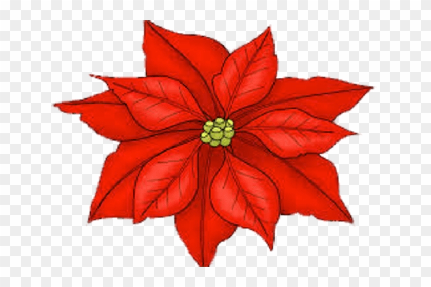 Single Clipart Poinsettia - Clipart Poinsettia Transparent Background #1612353