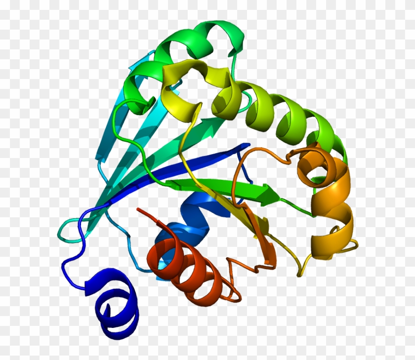 Arf Wikipedia - Arf Wikipedia #1612357