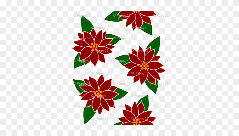 Poinsettia - Poinsettia #1612362
