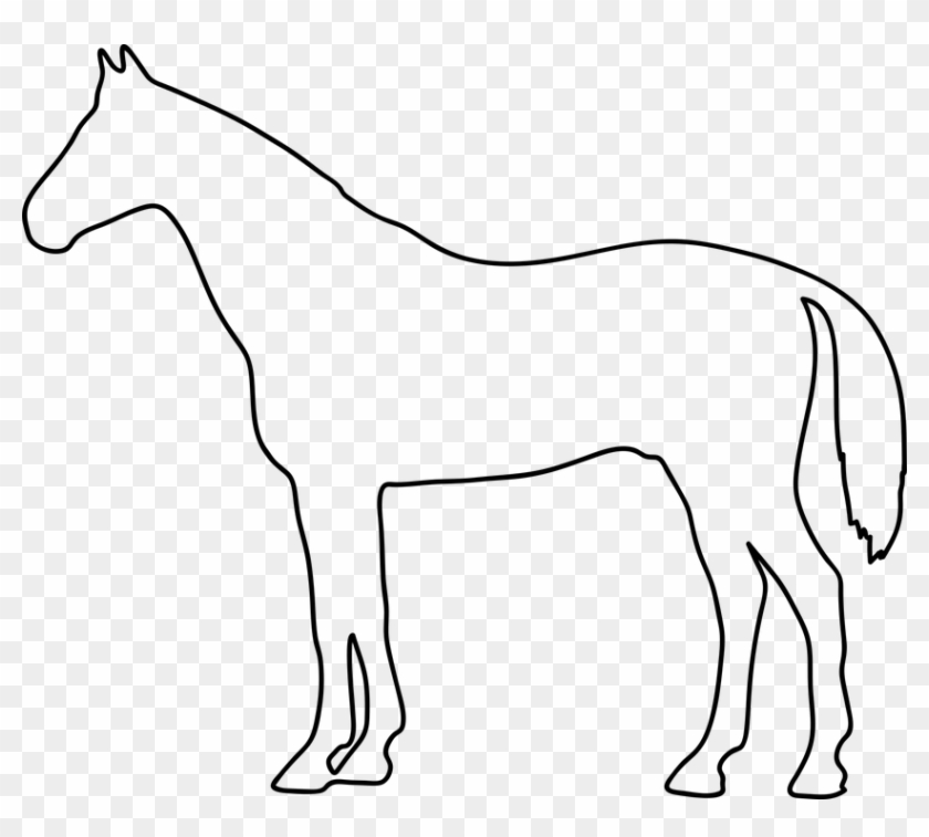 The Horse, Konik, Animal, The Stroke, Shape - Mane #1612662
