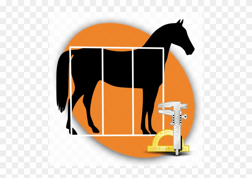 Product Details - Horse Conformation App #1612667