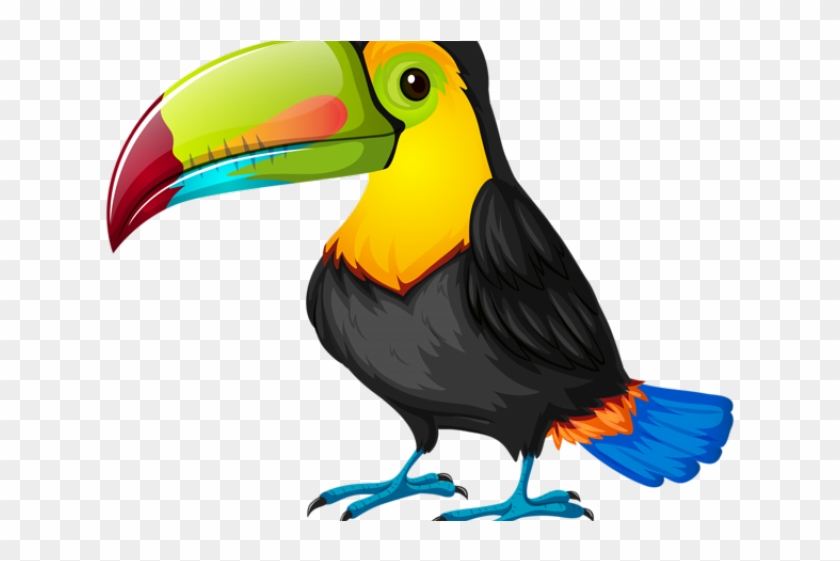 Rainforest Clipart Tucan - Toucan Bird White Background #1612994