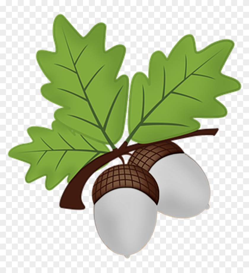 Silver Acorns - Oak Clipart #1613086