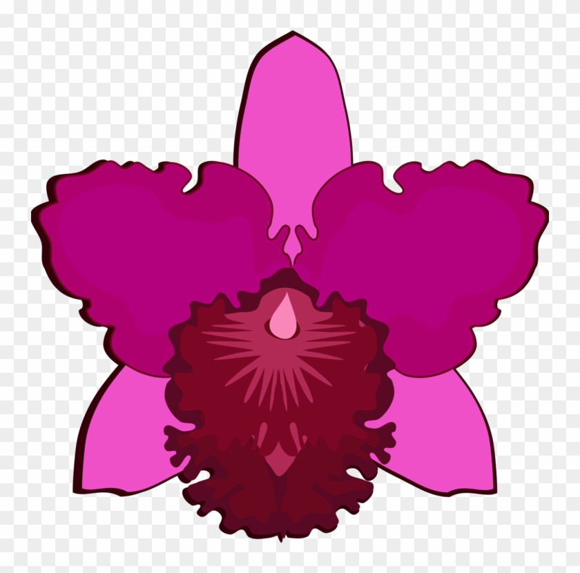 750 X 750 10 0 - Easy To Draw Cattleya Orchid #1613190