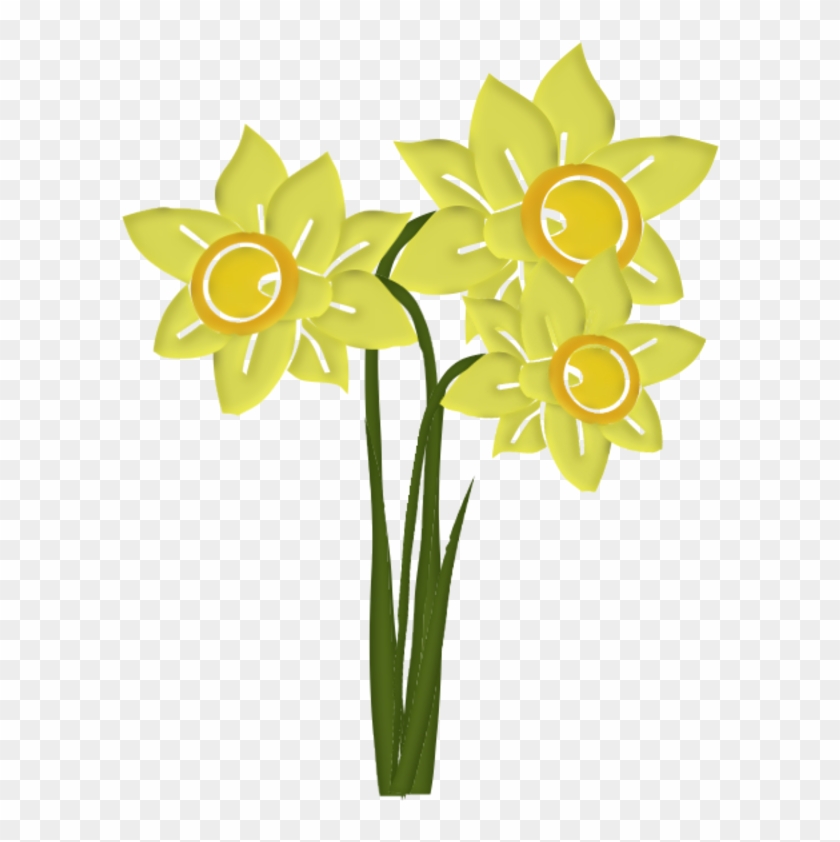 Scrap - Narcissus #1613223