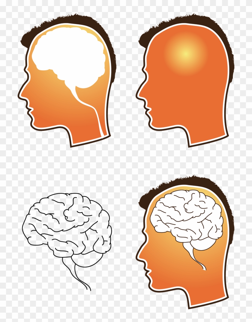 The Human Brain Vector Free Download Eps - Free Vector Brain #1613382