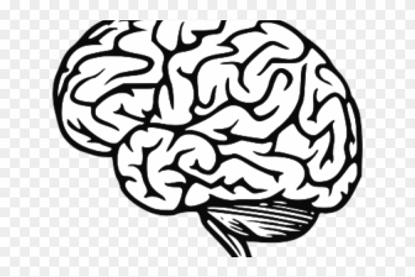 Brain Clipart Jpeg - Black And White Cartoon Brain #1613385