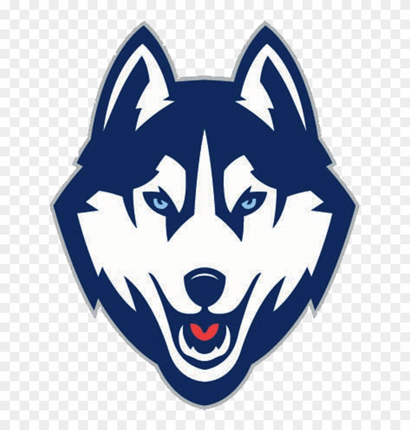 800 X 800 2 - Uconn Husky #1613541