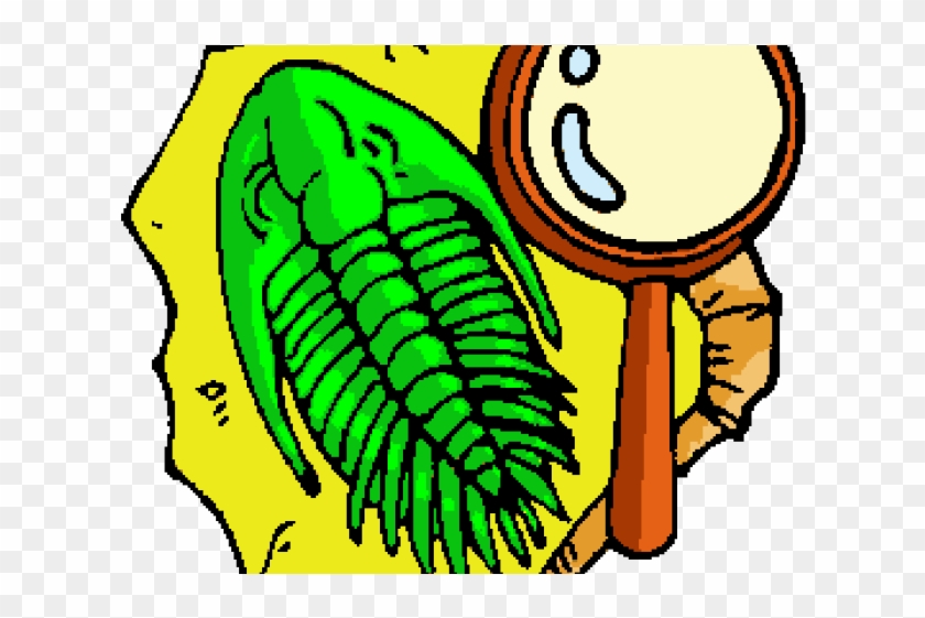 Fossil Clip Art #1613626