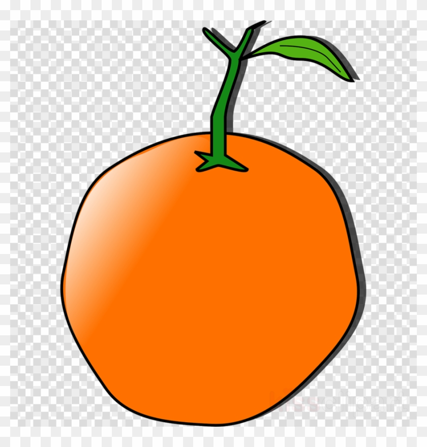 Orange Clip Art Png - Logo Camera Icon Png Transparent #1613899