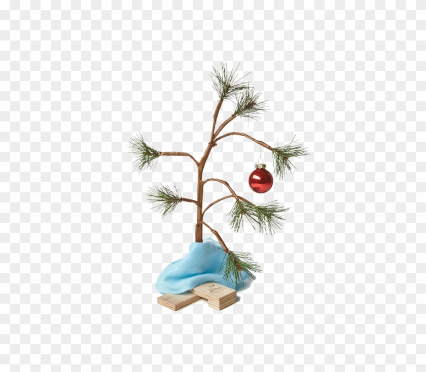 Charlie Brown Christmas Tree Png - Transparent Charlie Brown Christmas Tree Png #1613955