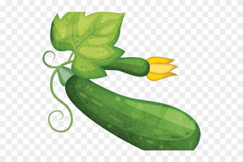 640 X 480 2 - Zucchini Clipart Png #1614132