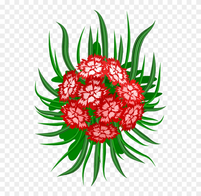 Carnations - Гвоздики #1614146