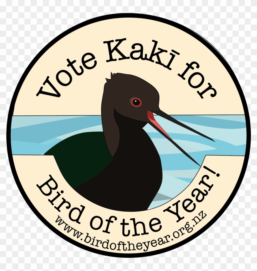 Vote For Kakī On Twitter - Cameron Dallas Is My Boyfriend #1614343