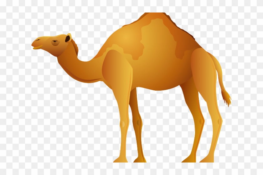 Camels Clipart Dromedary - Camel Clipart Png #1614589