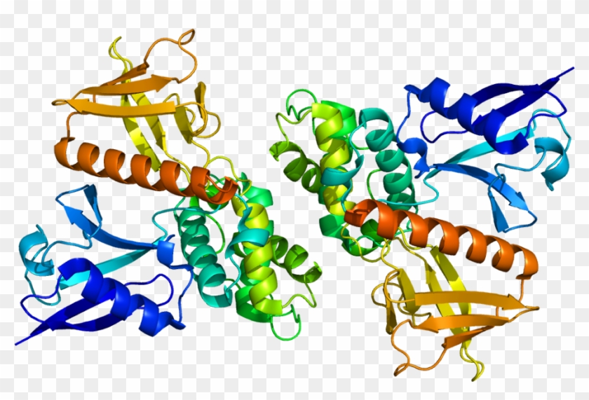 3dm The Protein Superfamily Data Integration Platform - Neurofibromin 2 #1614808