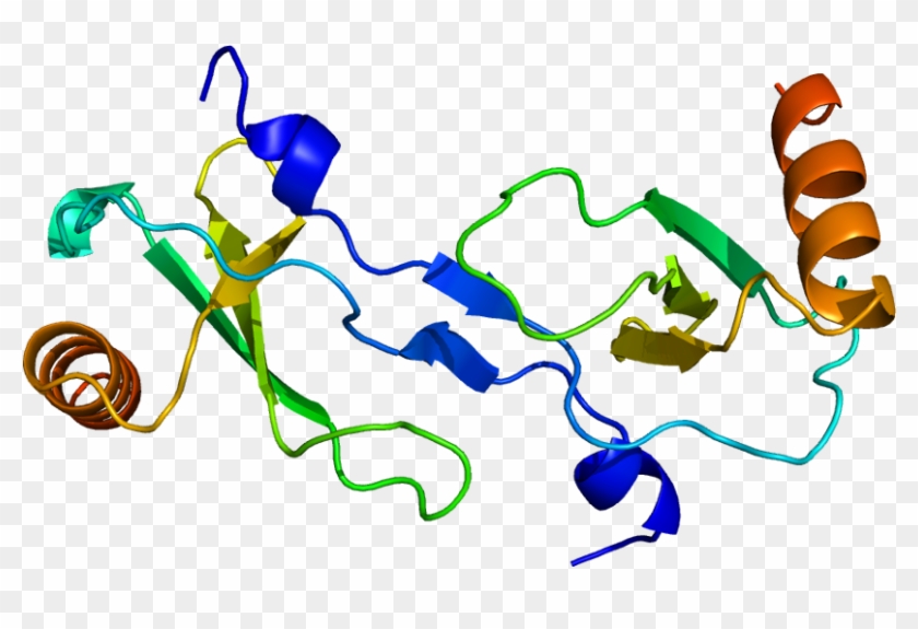 Ccl Wikipedia - Mcp 1 Protein #1614827