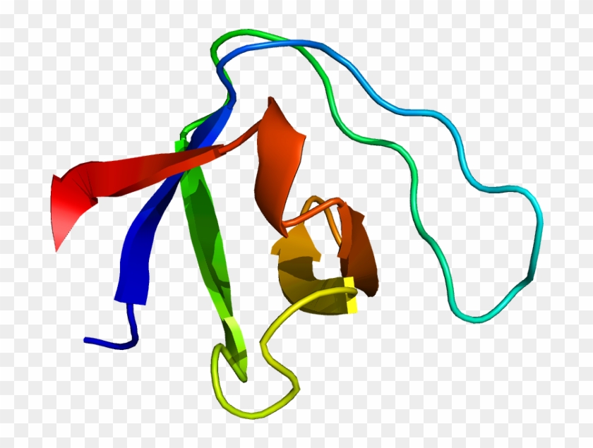 Sptan1 - Wikipedia - Sptan1 - Wikipedia #1614832