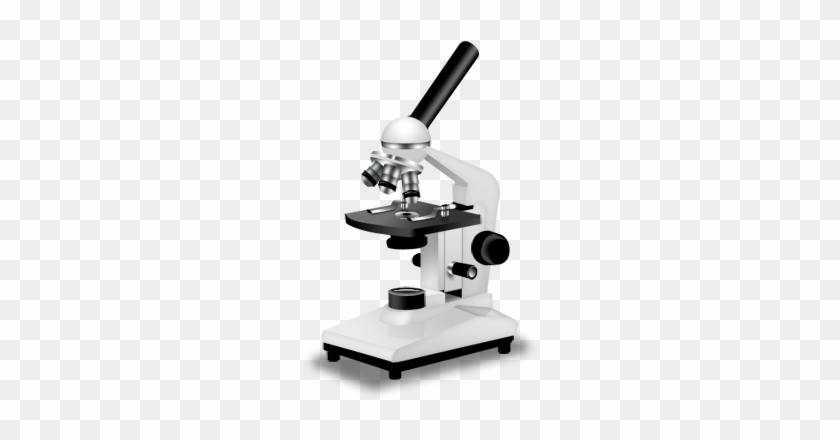 Microscope - Parts Of A Microscope #1615183