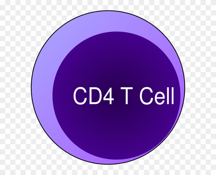 Cd4 T Cell Clip Art - Yahoo Circle Logo #1615327