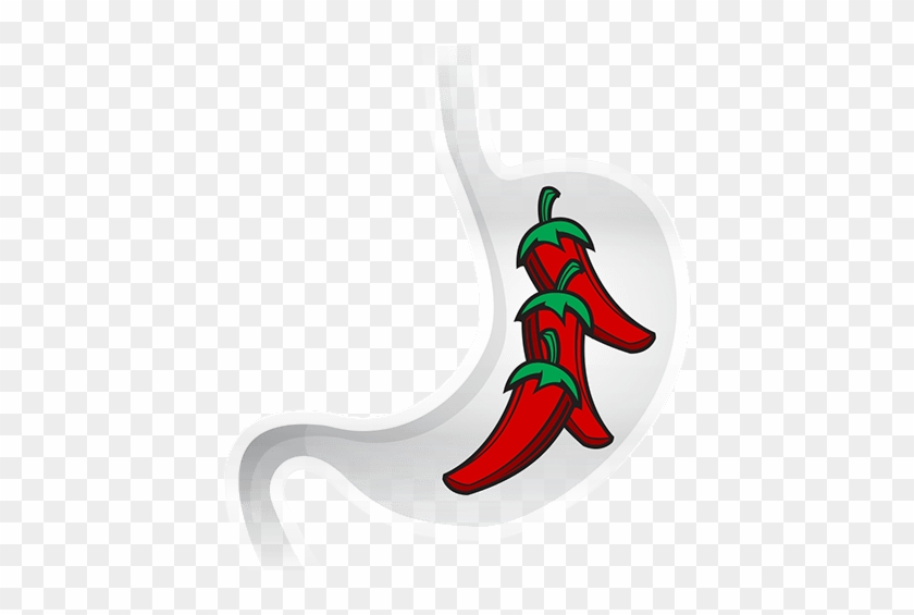 Chile Peppers Have Received A Bad Reputation For Causing - Illustration #1615612