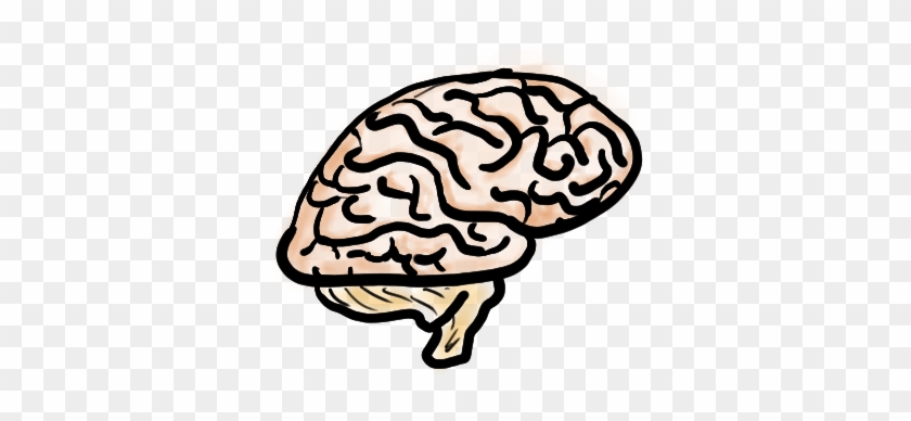 Brain - Brain #1616118