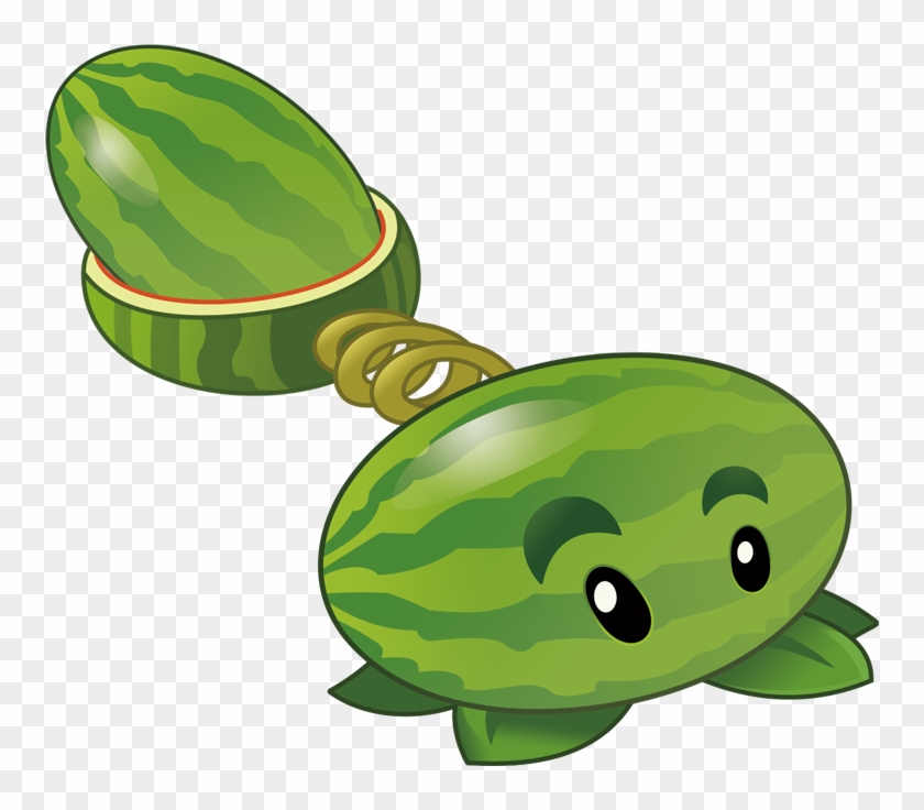 Gourd Clipart Winter Melon - Melon Pult Pvz 2 #1616404