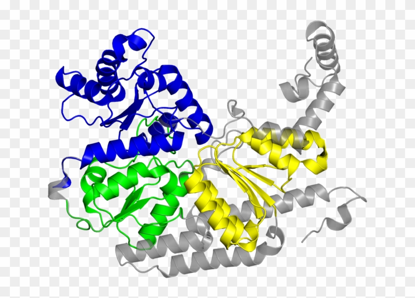 <div Class='caption-body'>7 Copies Of Cath Domain < - Illustration #1616490