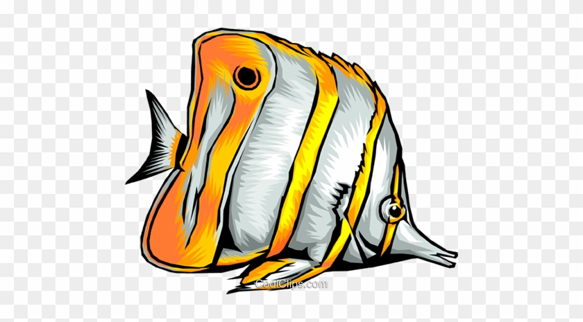 Tropical Fish Royalty Free Vector Clip Art Illustration - Fish Cartoon  Realistic - Free Transparent PNG Clipart Images Download