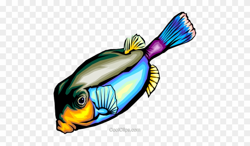 Tropical Fish Royalty Free Vector Clip Art Illustration - Tropical Fish Royalty Free Vector Clip Art Illustration #1616503