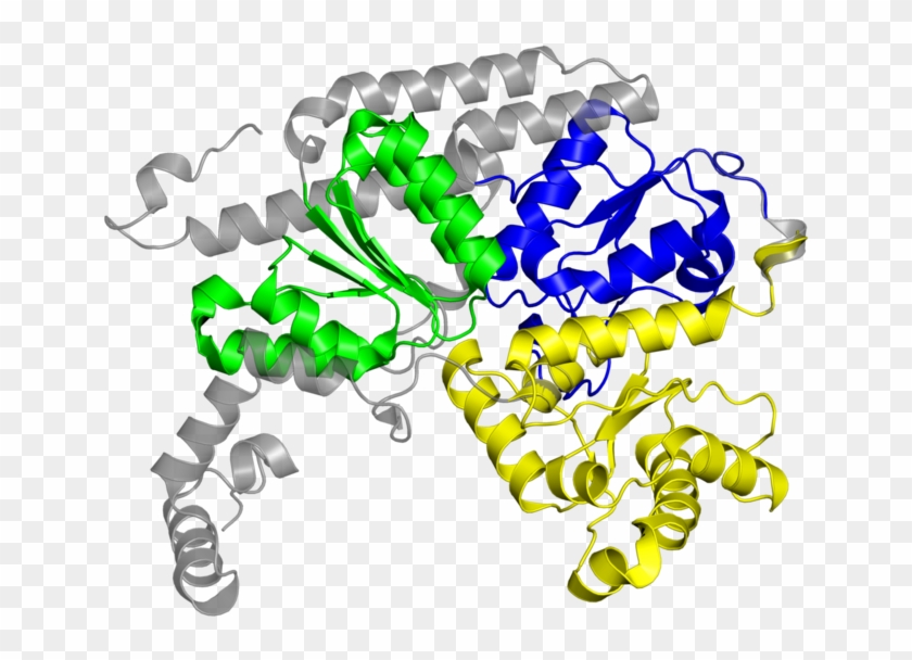 <div Class='caption-body'>7 Copies Of Cath Domain - Illustration #1616508