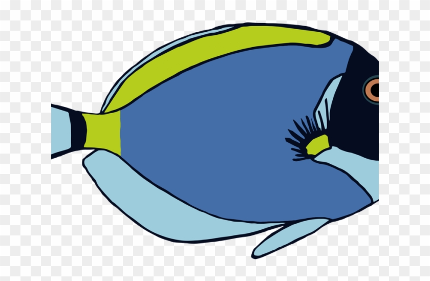 Marine Fish Clipart Tropical Fish - Surgeonfish Clipart #1616522