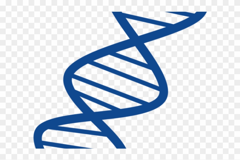 Structure Clipart Dna - Dna Clipart Transparent Background #1616578