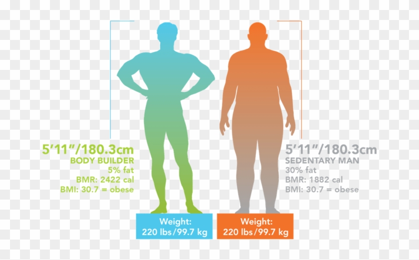 Free Muscular System Cliparts Download Free Clip Art,muscular - Truhealth Mannatech #1617183