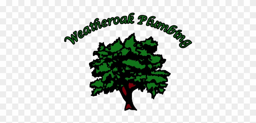 Weatheroak Plumbing Logo - American Holly #1617195