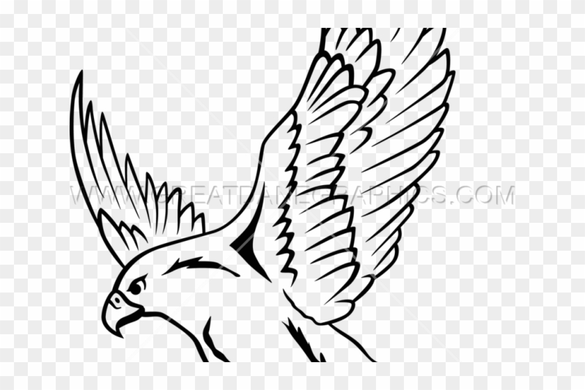 Falcon Clipart Drawing - Falcon Drawing #1617322